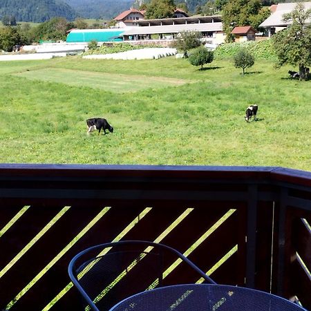 Apartma Julia Spodnje Gorje Экстерьер фото